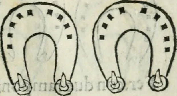 An illustration from Trattato dell'imbrigliare, maneggiare, et ferrare cavalli : diviso in tre parti, con alcvni discorsi sopra la natura di caualli, con disegni di briglie, maneggi, & di caualieri a cauallo, & de ferri d'esso, 1556, leaf 174