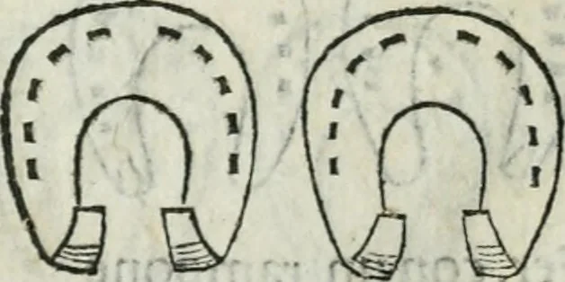 An illustration from Trattato dell'imbrigliare, maneggiare, et ferrare cavalli : diviso in tre parti, con alcvni discorsi sopra la natura di caualli, con disegni di briglie, maneggi, & di caualieri a cauallo, & de ferri d'esso, 1556, leaf 174
