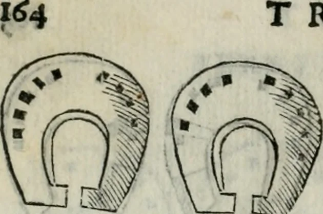 An illustration from Trattato dell'imbrigliare, maneggiare, et ferrare cavalli : diviso in tre parti, con alcvni discorsi sopra la natura di caualli, con disegni di briglie, maneggi, & di caualieri a cauallo, & de ferri d'esso, 1556, leaf 175