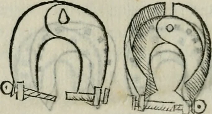 An illustration from Trattato dell'imbrigliare, maneggiare, et ferrare cavalli : diviso in tre parti, con alcvni discorsi sopra la natura di caualli, con disegni di briglie, maneggi, & di caualieri a cauallo, & de ferri d'esso, 1556, leaf 175