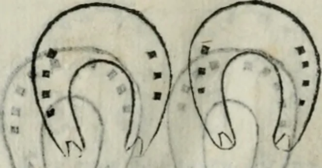 An illustration from Trattato dell'imbrigliare, maneggiare, et ferrare cavalli : diviso in tre parti, con alcvni discorsi sopra la natura di caualli, con disegni di briglie, maneggi, & di caualieri a cauallo, & de ferri d'esso, 1556, leaf 175