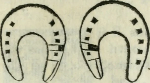 An illustration from Trattato dell'imbrigliare, maneggiare, et ferrare cavalli : diviso in tre parti, con alcvni discorsi sopra la natura di caualli, con disegni di briglie, maneggi, & di caualieri a cauallo, & de ferri d'esso, 1556, leaf 176