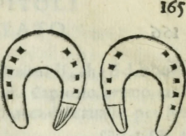 An illustration from Trattato dell'imbrigliare, maneggiare, et ferrare cavalli : diviso in tre parti, con alcvni discorsi sopra la natura di caualli, con disegni di briglie, maneggi, & di caualieri a cauallo, & de ferri d'esso, 1556, leaf 176