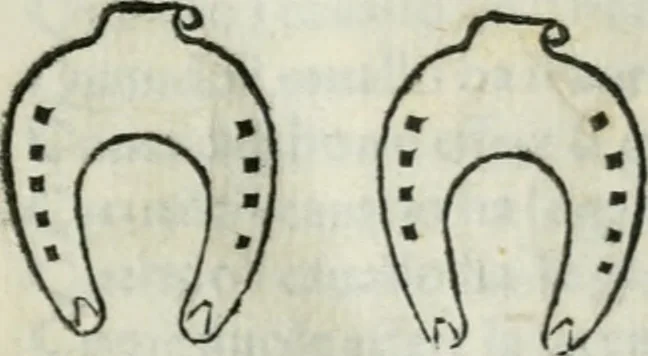 An illustration from Trattato dell'imbrigliare, maneggiare, et ferrare cavalli : diviso in tre parti, con alcvni discorsi sopra la natura di caualli, con disegni di briglie, maneggi, & di caualieri a cauallo, & de ferri d'esso, 1556, leaf 176