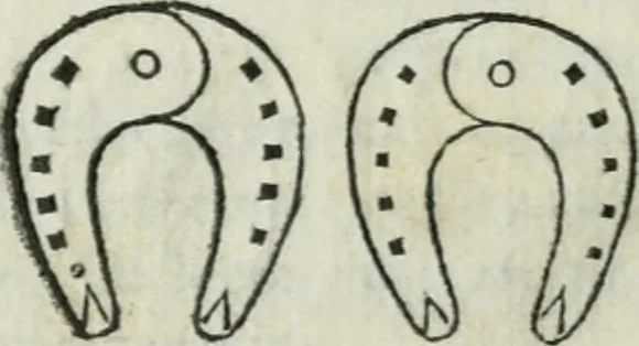 An illustration from Trattato dell'imbrigliare, maneggiare, et ferrare cavalli : diviso in tre parti, con alcvni discorsi sopra la natura di caualli, con disegni di briglie, maneggi, & di caualieri a cauallo, & de ferri d'esso, 1556, leaf 176