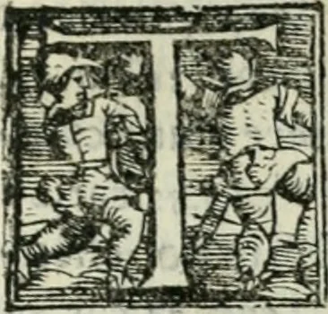 An illustration from Trattato dell'imbrigliare, maneggiare, et ferrare cavalli : diviso in tre parti, con alcvni discorsi sopra la natura di caualli, con disegni di briglie, maneggi, & di caualieri a cauallo, & de ferri d'esso, 1556, leaf 178
