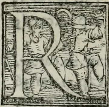 An illustration from Trattato dell'imbrigliare, maneggiare, et ferrare cavalli : diviso in tre parti, con alcvni discorsi sopra la natura di caualli, con disegni di briglie, maneggi, & di caualieri a cauallo, & de ferri d'esso, 1556, leaf 179