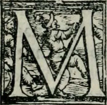 An illustration from Trattato dell'imbrigliare, maneggiare, et ferrare cavalli : diviso in tre parti, con alcvni discorsi sopra la natura di caualli, con disegni di briglie, maneggi, & di caualieri a cauallo, & de ferri d'esso, 1556, leaf 19