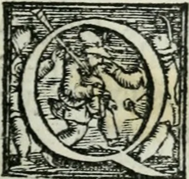 An illustration from Trattato dell'imbrigliare, maneggiare, et ferrare cavalli : diviso in tre parti, con alcvni discorsi sopra la natura di caualli, con disegni di briglie, maneggi, & di caualieri a cauallo, & de ferri d'esso, 1556, leaf 24