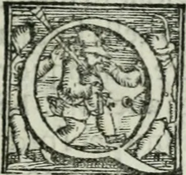 An illustration from Trattato dell'imbrigliare, maneggiare, et ferrare cavalli : diviso in tre parti, con alcvni discorsi sopra la natura di caualli, con disegni di briglie, maneggi, & di caualieri a cauallo, & de ferri d'esso, 1556, leaf 26