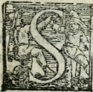 An illustration from Trattato dell'imbrigliare, maneggiare, et ferrare cavalli : diviso in tre parti, con alcvni discorsi sopra la natura di caualli, con disegni di briglie, maneggi, & di caualieri a cauallo, & de ferri d'esso, 1556, leaf 26