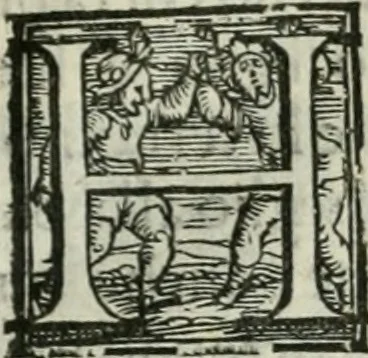 An illustration from Trattato dell'imbrigliare, maneggiare, et ferrare cavalli : diviso in tre parti, con alcvni discorsi sopra la natura di caualli, con disegni di briglie, maneggi, & di caualieri a cauallo, & de ferri d'esso, 1556, leaf 28
