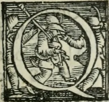 An illustration from Trattato dell'imbrigliare, maneggiare, et ferrare cavalli : diviso in tre parti, con alcvni discorsi sopra la natura di caualli, con disegni di briglie, maneggi, & di caualieri a cauallo, & de ferri d'esso, 1556, leaf 28