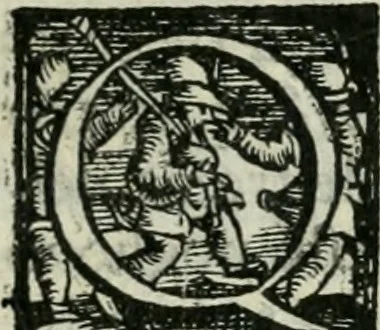 An illustration from Trattato dell'imbrigliare, maneggiare, et ferrare cavalli : diviso in tre parti, con alcvni discorsi sopra la natura di caualli, con disegni di briglie, maneggi, & di caualieri a cauallo, & de ferri d'esso, 1556, leaf 30