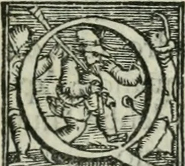 An illustration from Trattato dell'imbrigliare, maneggiare, et ferrare cavalli : diviso in tre parti, con alcvni discorsi sopra la natura di caualli, con disegni di briglie, maneggi, & di caualieri a cauallo, & de ferri d'esso, 1556, leaf 32