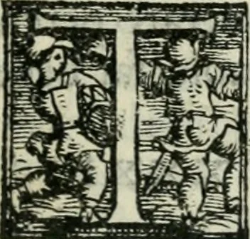 An illustration from Trattato dell'imbrigliare, maneggiare, et ferrare cavalli : diviso in tre parti, con alcvni discorsi sopra la natura di caualli, con disegni di briglie, maneggi, & di caualieri a cauallo, & de ferri d'esso, 1556, leaf 34