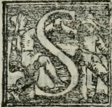 An illustration from Trattato dell'imbrigliare, maneggiare, et ferrare cavalli : diviso in tre parti, con alcvni discorsi sopra la natura di caualli, con disegni di briglie, maneggi, & di caualieri a cauallo, & de ferri d'esso, 1556, leaf 37