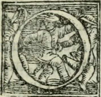 An illustration from Trattato dell'imbrigliare, maneggiare, et ferrare cavalli : diviso in tre parti, con alcvni discorsi sopra la natura di caualli, con disegni di briglie, maneggi, & di caualieri a cauallo, & de ferri d'esso, 1556, leaf 42