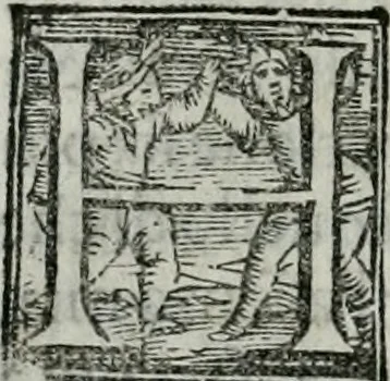 An illustration from Trattato dell'imbrigliare, maneggiare, et ferrare cavalli : diviso in tre parti, con alcvni discorsi sopra la natura di caualli, con disegni di briglie, maneggi, & di caualieri a cauallo, & de ferri d'esso, 1556, leaf 45