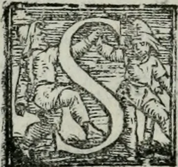 An illustration from Trattato dell'imbrigliare, maneggiare, et ferrare cavalli : diviso in tre parti, con alcvni discorsi sopra la natura di caualli, con disegni di briglie, maneggi, & di caualieri a cauallo, & de ferri d'esso, 1556, leaf 47