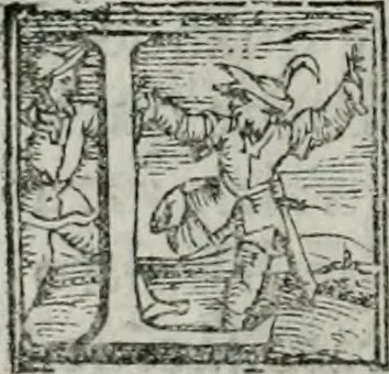 An illustration from Trattato dell'imbrigliare, maneggiare, et ferrare cavalli : diviso in tre parti, con alcvni discorsi sopra la natura di caualli, con disegni di briglie, maneggi, & di caualieri a cauallo, & de ferri d'esso, 1556, leaf 47