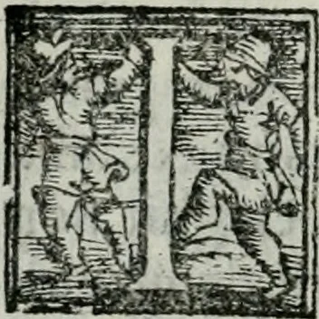 An illustration from Trattato dell'imbrigliare, maneggiare, et ferrare cavalli : diviso in tre parti, con alcvni discorsi sopra la natura di caualli, con disegni di briglie, maneggi, & di caualieri a cauallo, & de ferri d'esso, 1556, leaf 49