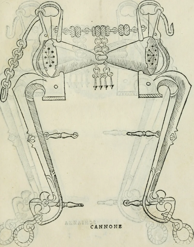 An illustration from Trattato dell'imbrigliare, maneggiare, et ferrare cavalli : diviso in tre parti, con alcvni discorsi sopra la natura di caualli, con disegni di briglie, maneggi, & di caualieri a cauallo, & de ferri d'esso, 1556, leaf 56