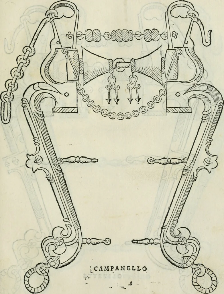 An illustration from Trattato dell'imbrigliare, maneggiare, et ferrare cavalli : diviso in tre parti, con alcvni discorsi sopra la natura di caualli, con disegni di briglie, maneggi, & di caualieri a cauallo, & de ferri d'esso, 1556, leaf 58