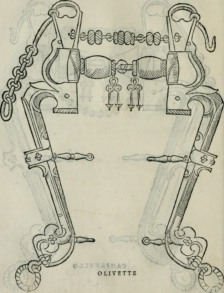 An illustration from Trattato dell'imbrigliare, maneggiare, et ferrare cavalli : diviso in tre parti, con alcvni discorsi sopra la natura di caualli, con disegni di briglie, maneggi, & di caualieri a cauallo, & de ferri d'esso, 1556, leaf 59