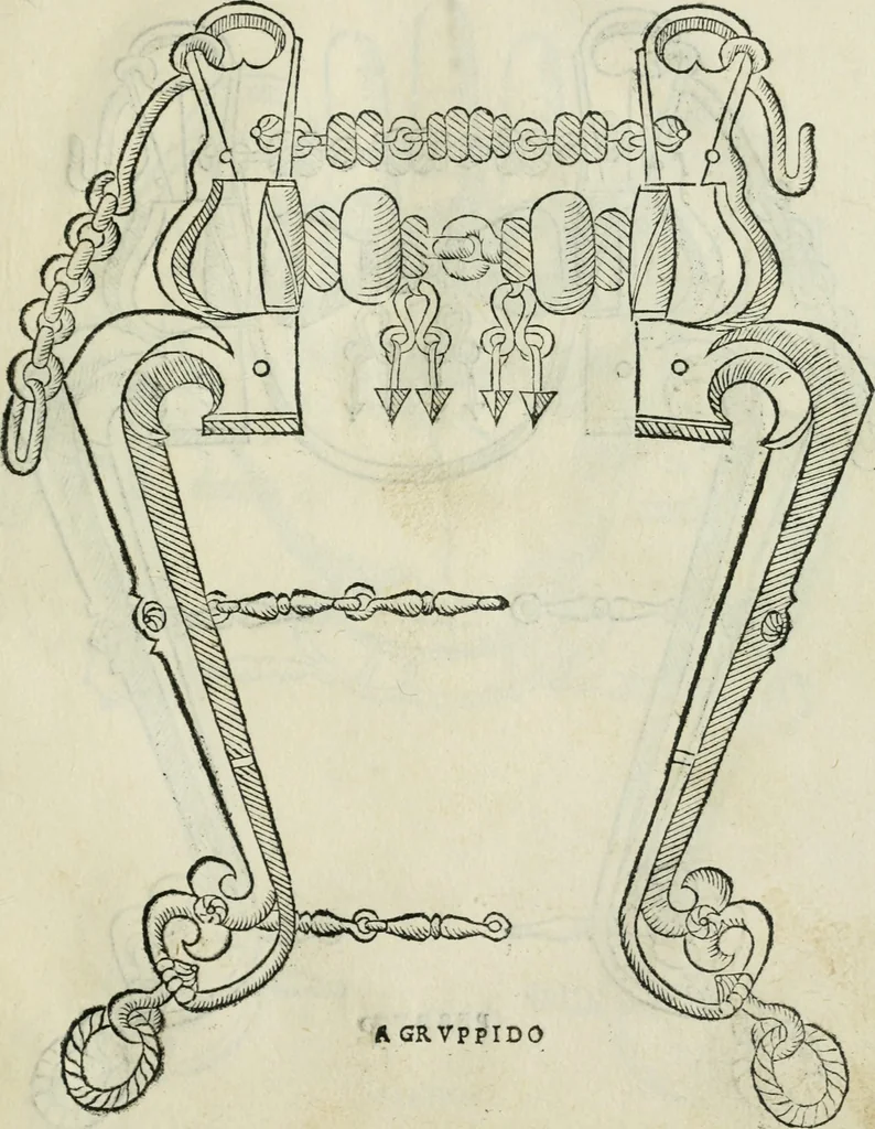 An illustration from Trattato dell'imbrigliare, maneggiare, et ferrare cavalli : diviso in tre parti, con alcvni discorsi sopra la natura di caualli, con disegni di briglie, maneggi, & di caualieri a cauallo, & de ferri d'esso, 1556, leaf 60