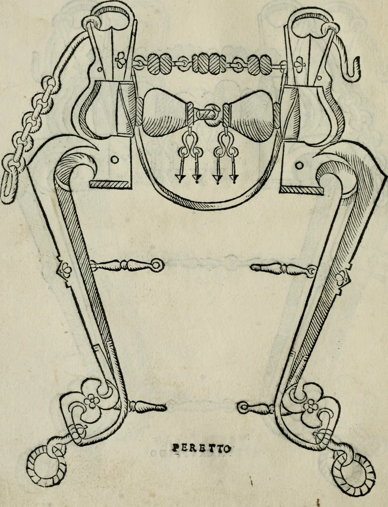 An illustration from Trattato dell'imbrigliare, maneggiare, et ferrare cavalli : diviso in tre parti, con alcvni discorsi sopra la natura di caualli, con disegni di briglie, maneggi, & di caualieri a cauallo, & de ferri d'esso, 1556, leaf 61