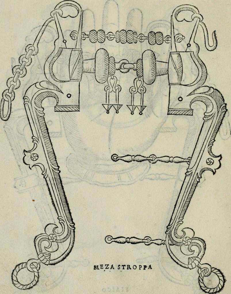 An illustration from Trattato dell'imbrigliare, maneggiare, et ferrare cavalli : diviso in tre parti, con alcvni discorsi sopra la natura di caualli, con disegni di briglie, maneggi, & di caualieri a cauallo, & de ferri d'esso, 1556, leaf 63