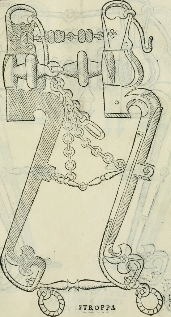 An illustration from Trattato dell'imbrigliare, maneggiare, et ferrare cavalli : diviso in tre parti, con alcvni discorsi sopra la natura di caualli, con disegni di briglie, maneggi, & di caualieri a cauallo, & de ferri d'esso, 1556, leaf 64