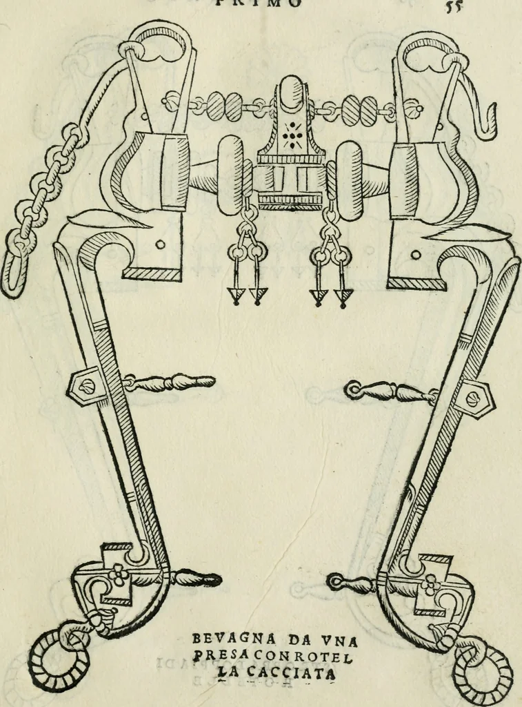 An illustration from Trattato dell'imbrigliare, maneggiare, et ferrare cavalli : diviso in tre parti, con alcvni discorsi sopra la natura di caualli, con disegni di briglie, maneggi, & di caualieri a cauallo, & de ferri d'esso, 1556, leaf 66