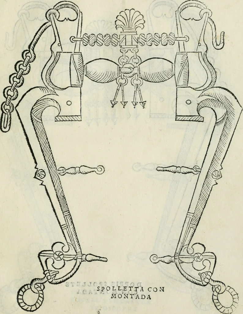 An illustration from Trattato dell'imbrigliare, maneggiare, et ferrare cavalli : diviso in tre parti, con alcvni discorsi sopra la natura di caualli, con disegni di briglie, maneggi, & di caualieri a cauallo, & de ferri d'esso, 1556, leaf 68
