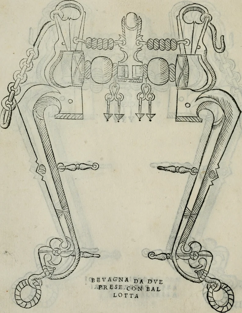 An illustration from Trattato dell'imbrigliare, maneggiare, et ferrare cavalli : diviso in tre parti, con alcvni discorsi sopra la natura di caualli, con disegni di briglie, maneggi, & di caualieri a cauallo, & de ferri d'esso, 1556, leaf 73