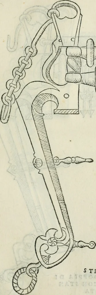 An illustration from Trattato dell'imbrigliare, maneggiare, et ferrare cavalli : diviso in tre parti, con alcvni discorsi sopra la natura di caualli, con disegni di briglie, maneggi, & di caualieri a cauallo, & de ferri d'esso, 1556, leaf 74