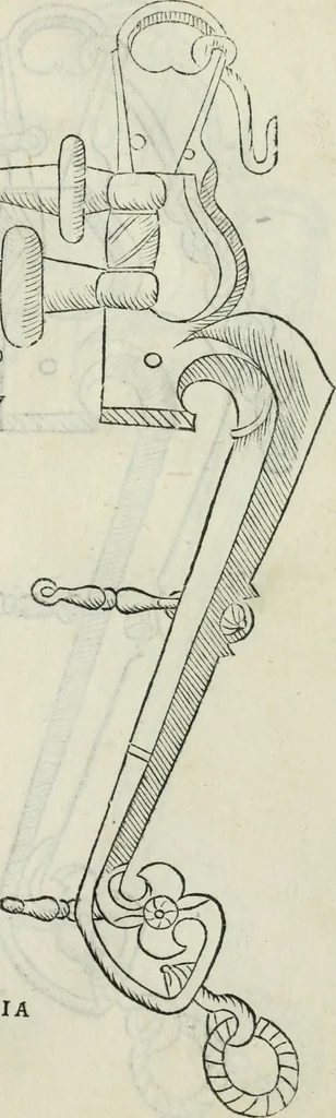 An illustration from Trattato dell'imbrigliare, maneggiare, et ferrare cavalli : diviso in tre parti, con alcvni discorsi sopra la natura di caualli, con disegni di briglie, maneggi, & di caualieri a cauallo, & de ferri d'esso, 1556, leaf 74