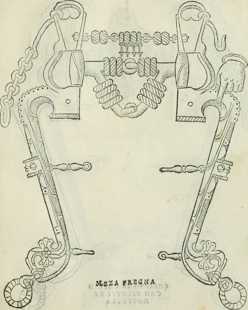 An illustration from Trattato dell'imbrigliare, maneggiare, et ferrare cavalli : diviso in tre parti, con alcvni discorsi sopra la natura di caualli, con disegni di briglie, maneggi, & di caualieri a cauallo, & de ferri d'esso, 1556, leaf 76