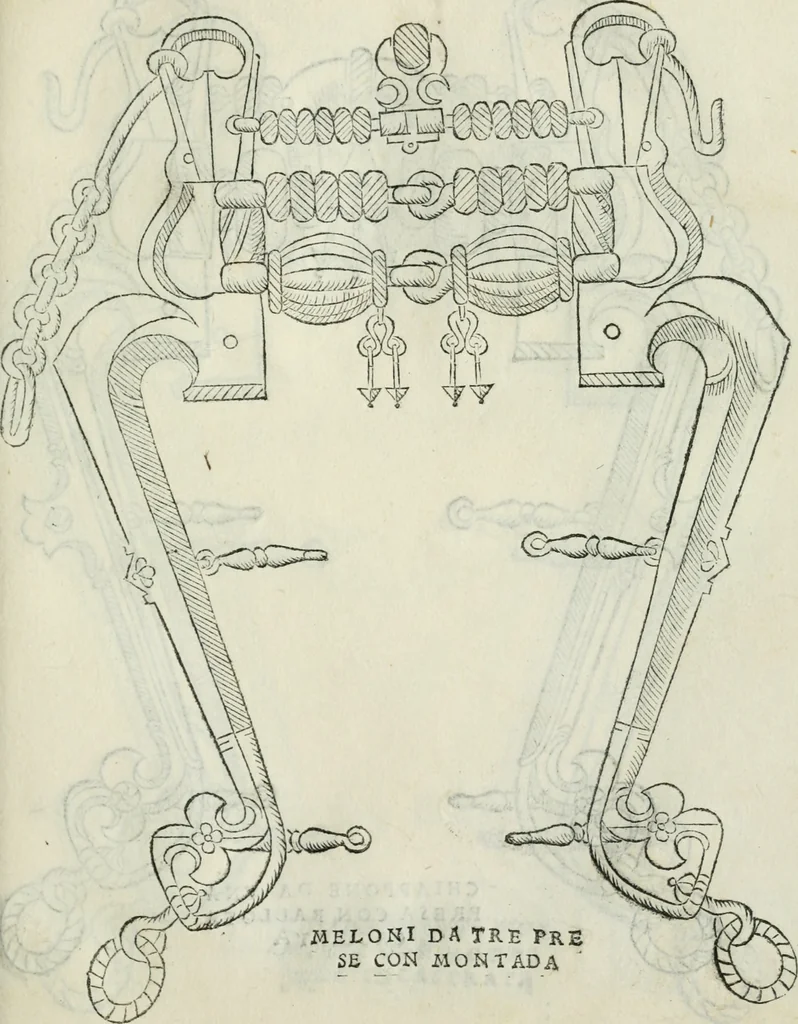 An illustration from Trattato dell'imbrigliare, maneggiare, et ferrare cavalli : diviso in tre parti, con alcvni discorsi sopra la natura di caualli, con disegni di briglie, maneggi, & di caualieri a cauallo, & de ferri d'esso, 1556, leaf 80