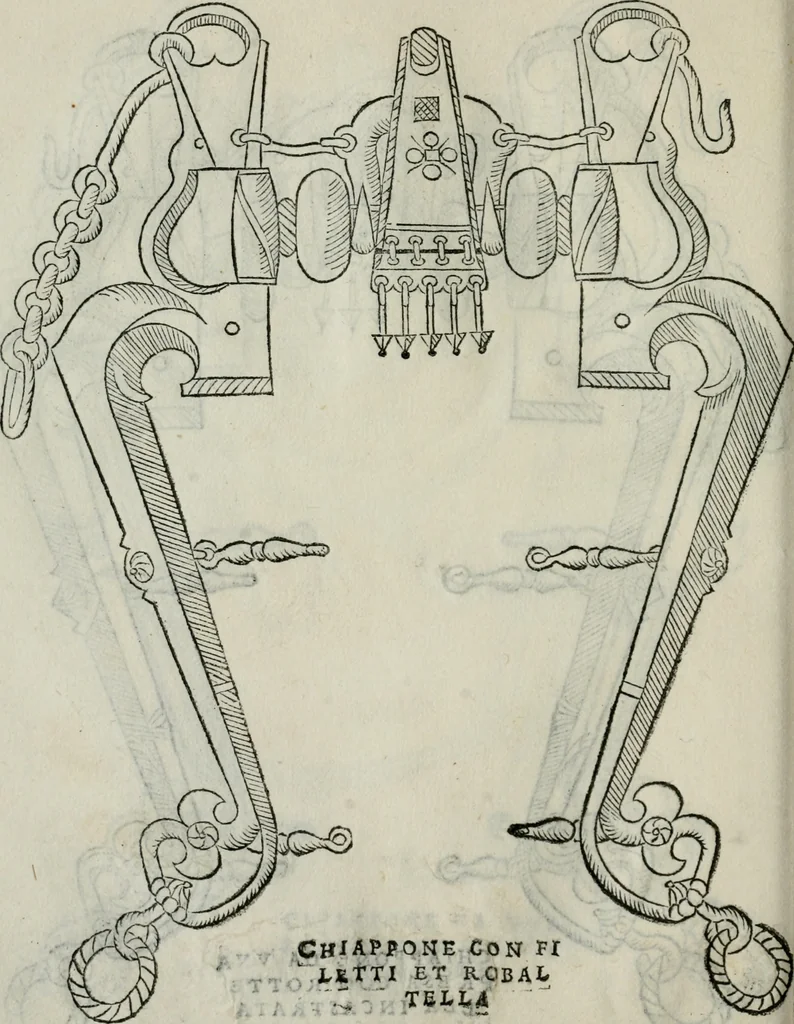 An illustration from Trattato dell'imbrigliare, maneggiare, et ferrare cavalli : diviso in tre parti, con alcvni discorsi sopra la natura di caualli, con disegni di briglie, maneggi, & di caualieri a cauallo, & de ferri d'esso, 1556, leaf 83