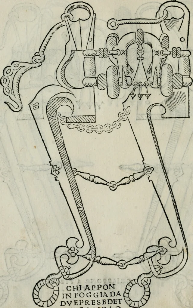An illustration from Trattato dell'imbrigliare, maneggiare, et ferrare cavalli : diviso in tre parti, con alcvni discorsi sopra la natura di caualli, con disegni di briglie, maneggi, & di caualieri a cauallo, & de ferri d'esso, 1556, leaf 85
