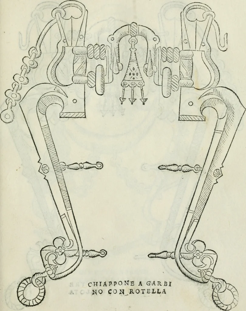 An illustration from Trattato dell'imbrigliare, maneggiare, et ferrare cavalli : diviso in tre parti, con alcvni discorsi sopra la natura di caualli, con disegni di briglie, maneggi, & di caualieri a cauallo, & de ferri d'esso, 1556, leaf 88