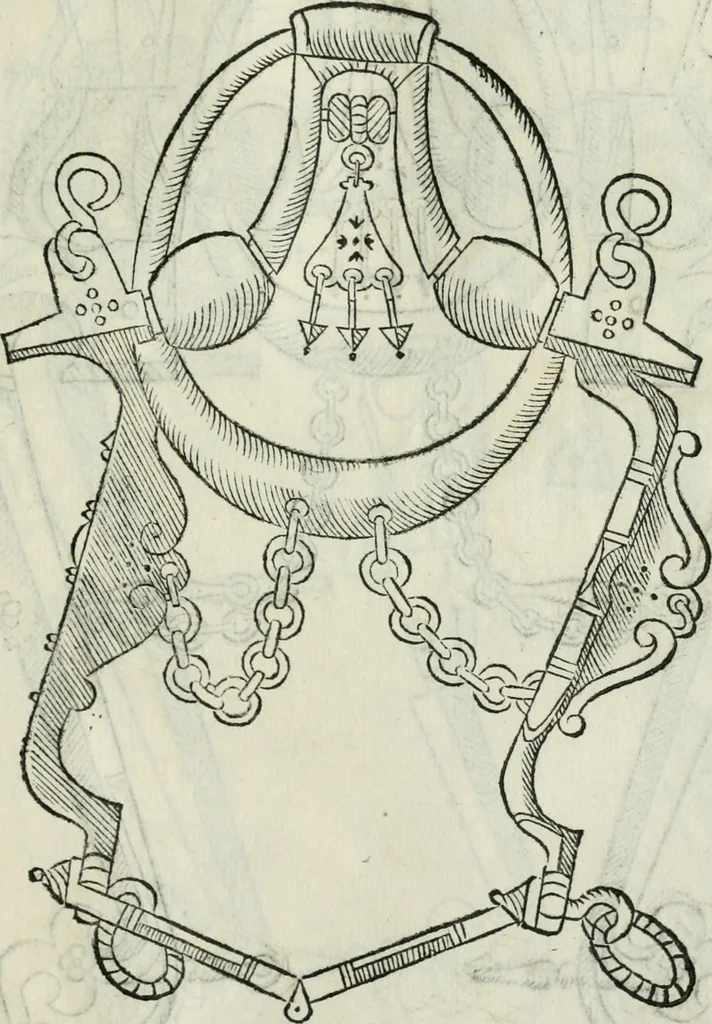 An illustration from Trattato dell'imbrigliare, maneggiare, et ferrare cavalli : diviso in tre parti, con alcvni discorsi sopra la natura di caualli, con disegni di briglie, maneggi, & di caualieri a cauallo, & de ferri d'esso, 1556, leaf 90