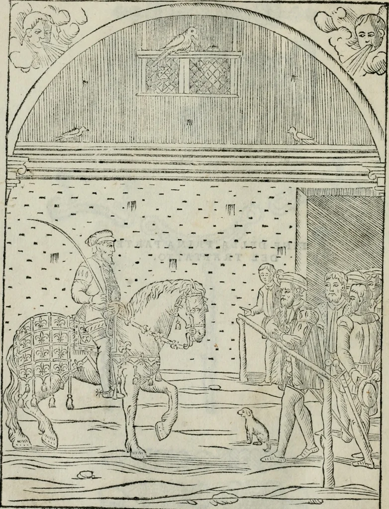 An illustration from Trattato dell'imbrigliare, maneggiare, et ferrare cavalli : diviso in tre parti, con alcvni discorsi sopra la natura di caualli, con disegni di briglie, maneggi, & di caualieri a cauallo, & de ferri d'esso, 1556, leaf 97