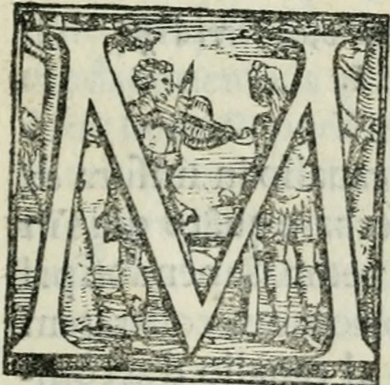 An illustration from Trattato dell'imbrigliare, maneggiare, et ferrare cavalli : diviso in tre parti, con alcvni discorsi sopra la natura di caualli, con disegni di briglie, maneggi, & di caualieri a cauallo, & de ferri d'esso, 1556, leaf 98