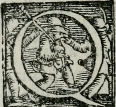 An illustration from Trattato dell'imbrigliare, maneggiare, et ferrare cavalli : diviso in tre parti, con alcvni discorsi sopra la natura di caualli, con disegni di briglie, maneggi, & di caualieri a cauallo, & de ferri d'esso, 1556, leaf 99