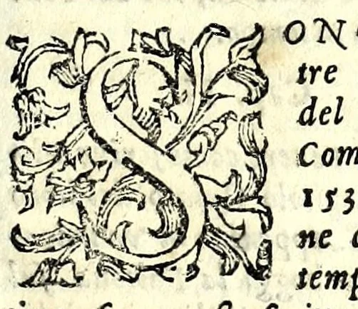 An illustration from Trattato dell'inondatione del Tevere, di Iacomo Castiglione romano : doue si discorre delle caggioni, e remedij suoi, e si dichiarano alcune antichità, e luoghi di autori vecchi : con vna relatione del diluuio di Roma del 1598 : raccolta da molti diluuij dalla fondatione sua, & pietre poste per segni di essi in diuerse parti di Roma ; con le sue altezze, e misure : e con vn modo stvpendo col qvale si saluorono molte famiglie in Castel Sãt'Angelo, 1599, leaf 15