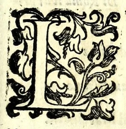 An illustration from Trattato dell'inondatione del Tevere, di Iacomo Castiglione romano : doue si discorre delle caggioni, e remedij suoi, e si dichiarano alcune antichità, e luoghi di autori vecchi : con vna relatione del diluuio di Roma del 1598 : raccolta da molti diluuij dalla fondatione sua, & pietre poste per segni di essi in diuerse parti di Roma ; con le sue altezze, e misure : e con vn modo stvpendo col qvale si saluorono molte famiglie in Castel Sãt'Angelo, 1599, leaf 7