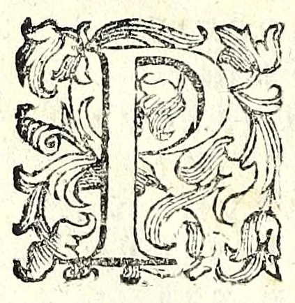 An illustration from Trattato dell'inondatione del Tevere, di Iacomo Castiglione romano : doue si discorre delle caggioni, e remedij suoi, e si dichiarano alcune antichità, e luoghi di autori vecchi : con vna relatione del diluuio di Roma del 1598 : raccolta da molti diluuij dalla fondatione sua, & pietre poste per segni di essi in diuerse parti di Roma ; con le sue altezze, e misure : e con vn modo stvpendo col qvale si saluorono molte famiglie in Castel Sãt'Angelo, 1599, leaf 82